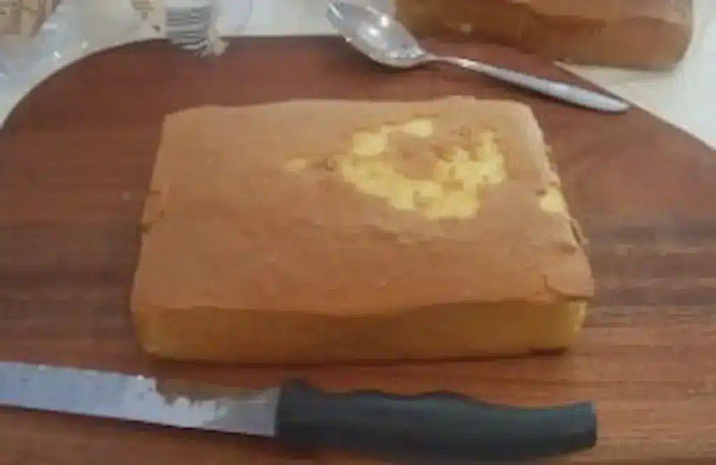 Freshly Sponge Cake