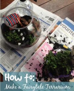 How To Make a Fairytale Terrarium