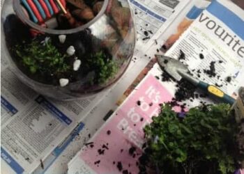 How To Make a Fairytale Terrarium