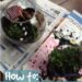 How To Make a Fairytale Terrarium