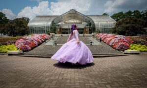 Cinderella wearing a violet dress
