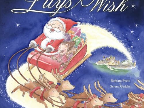 Lilys Wish book