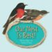Our Nest Is Best! by Penny Olsen and Penny O’Hara