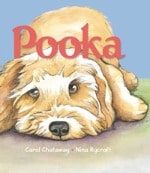 Pooka by Carol Chataway and Nina Rycroft