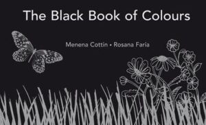 The Black Book of Colours