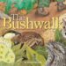 The Bushwalk Book