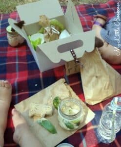 Picnic box 