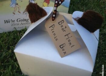 picnic box and book