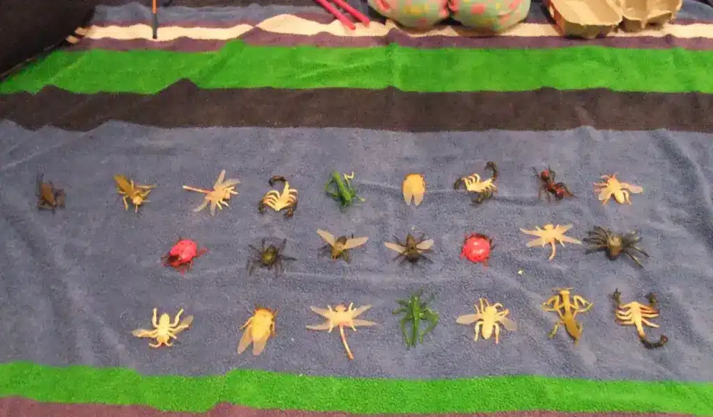 Insect Toys on the Blanket 
