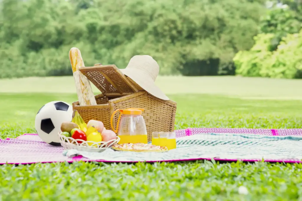 Picnic Basket