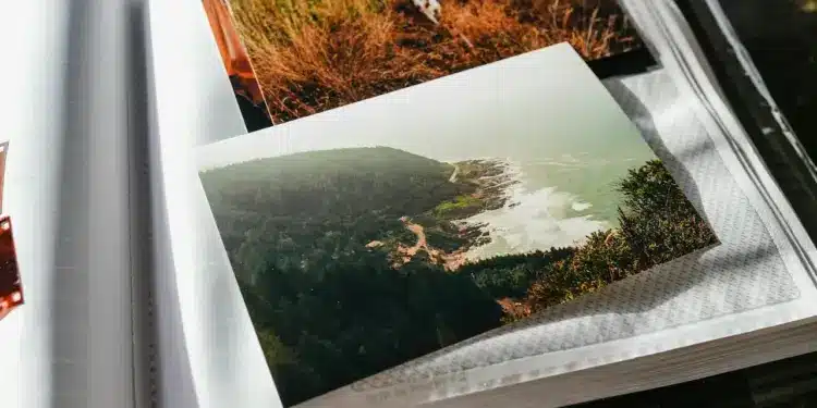 Project #8 Explore the World through Picture Books